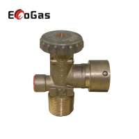 China professional high pressure cooking small gas valve